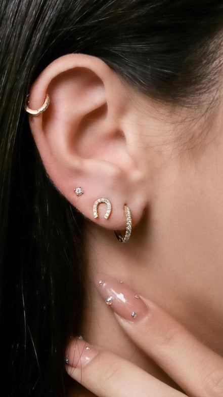 Piercing Horseshoe
