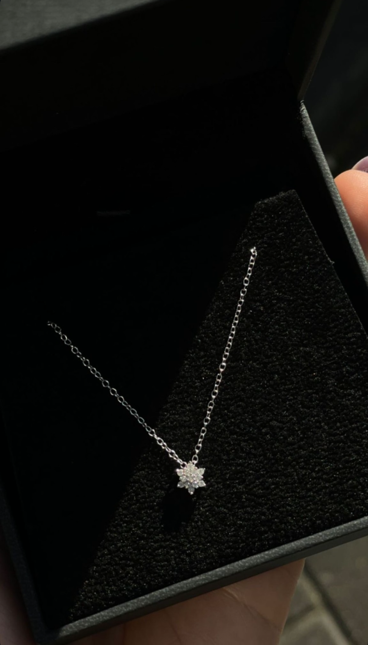 Collier David
