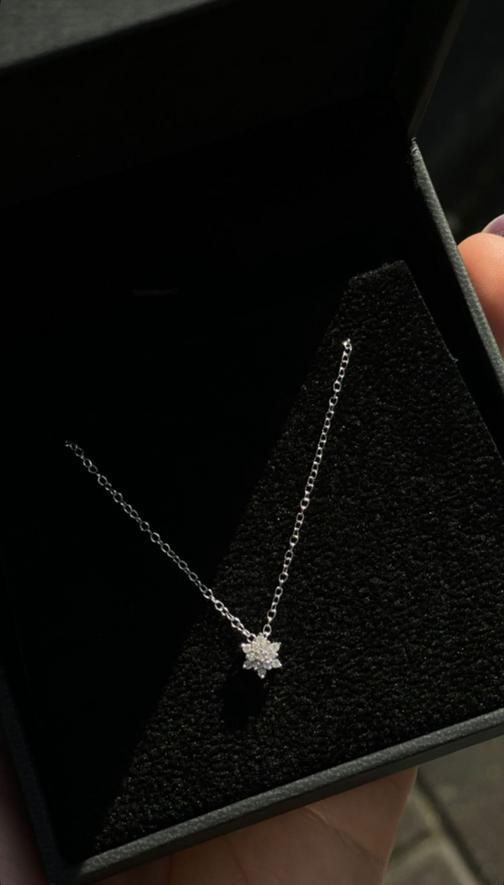 Collier David