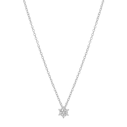 Collier David