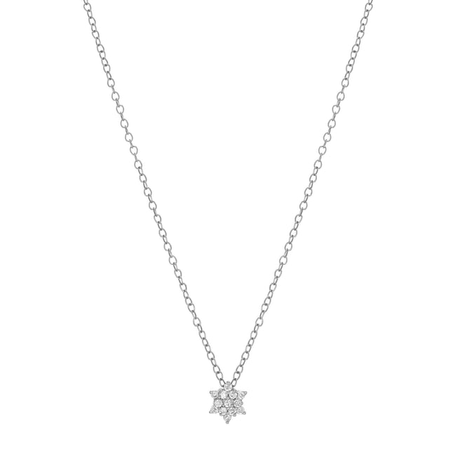 Collier David