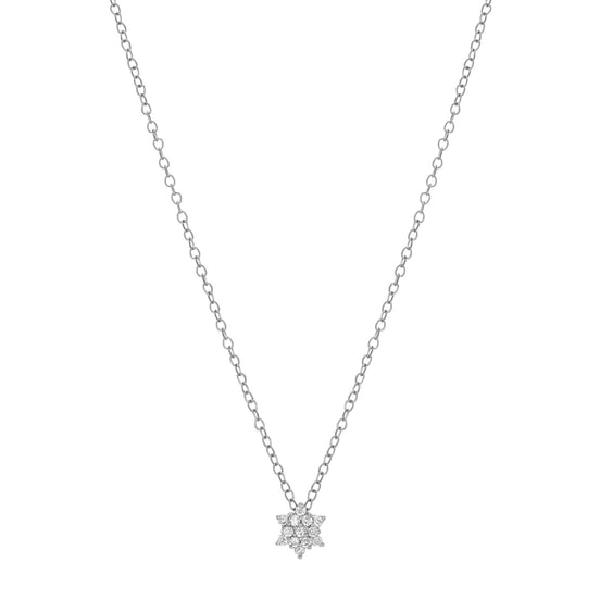 Collier David