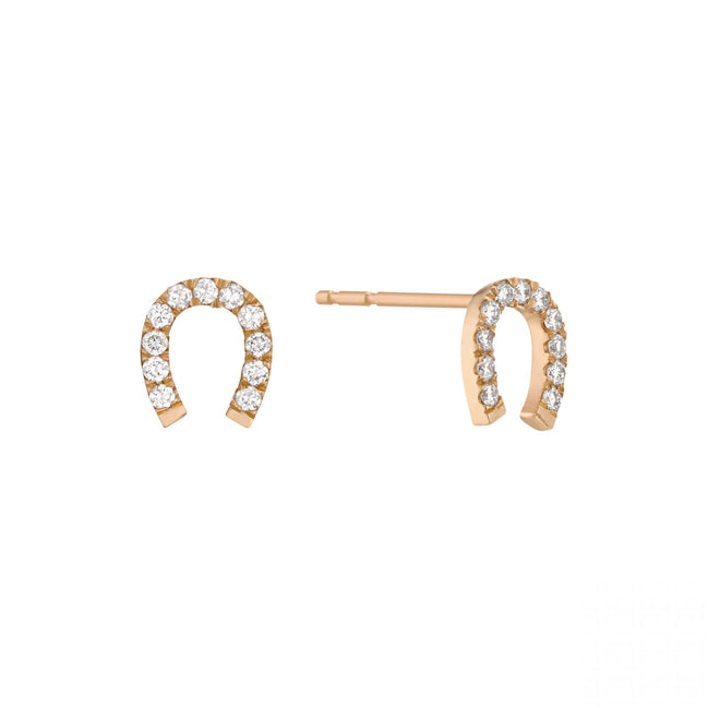 Piercing Horseshoe