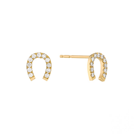 Piercing Horseshoe