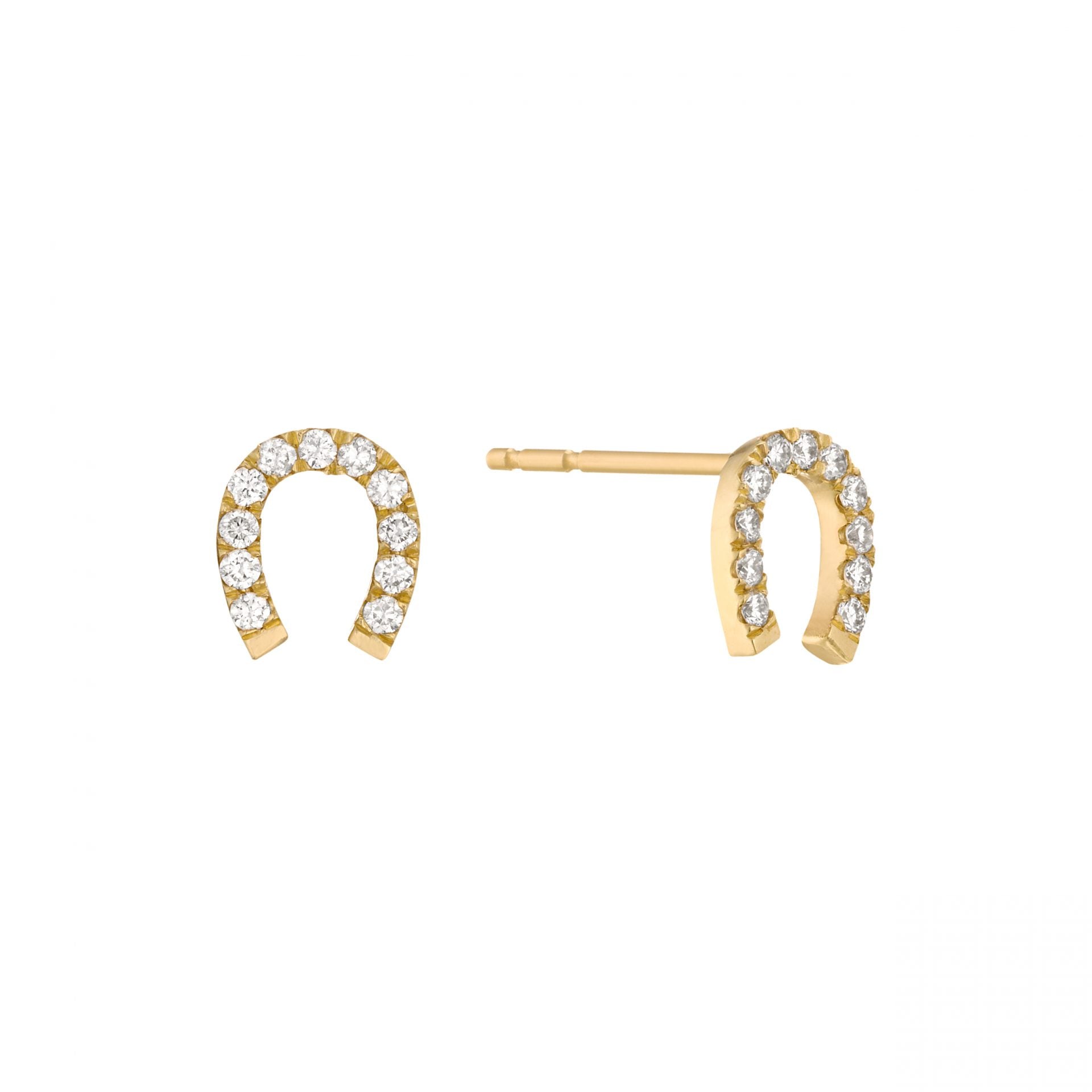 Piercing Horseshoe