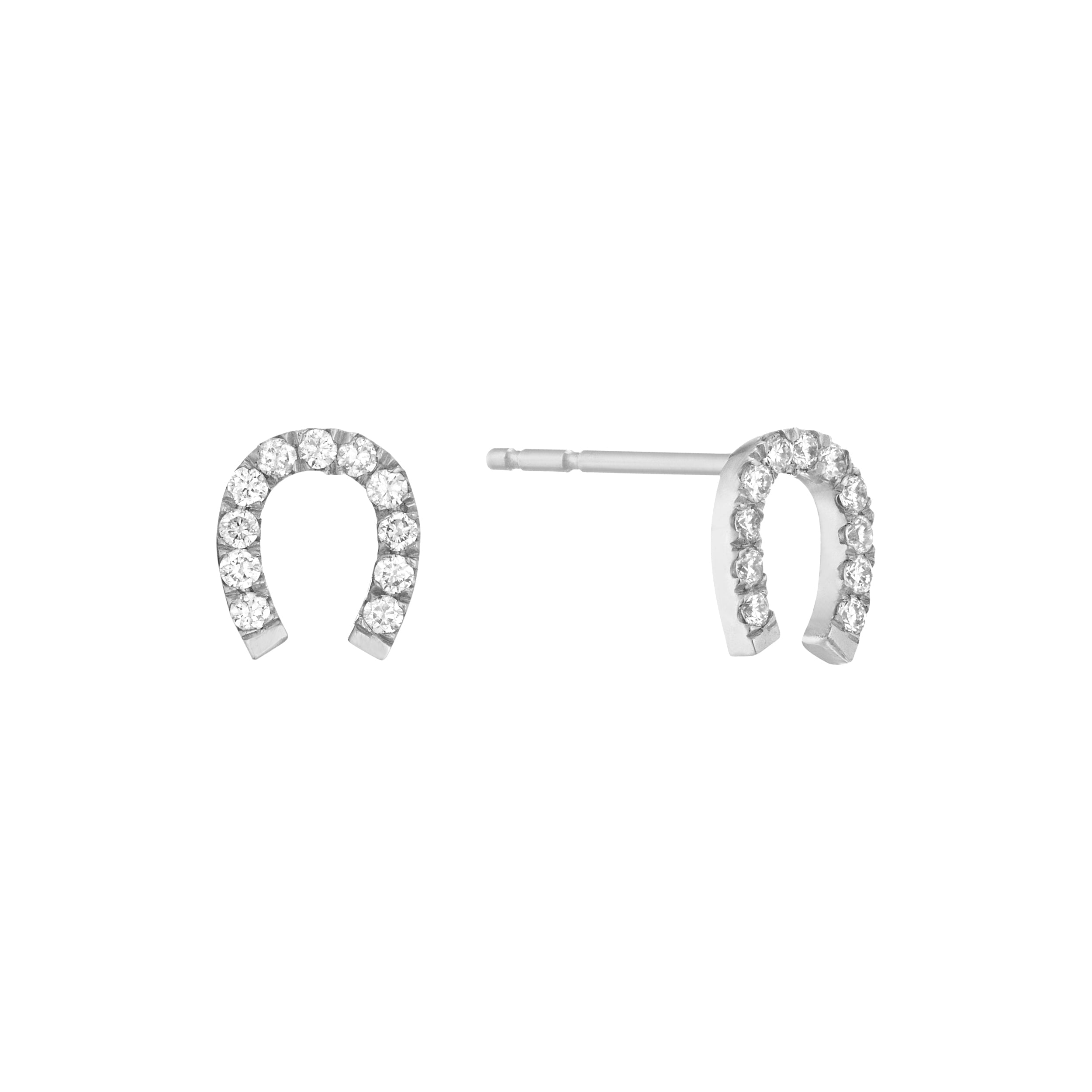 Piercing Horseshoe