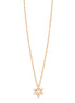 Collier Maguen David
