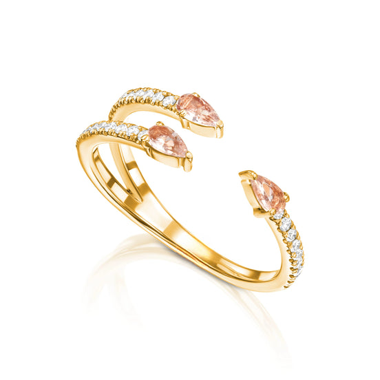 הטבעת הפתוחה Morgan