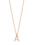 Collier Letter - Small