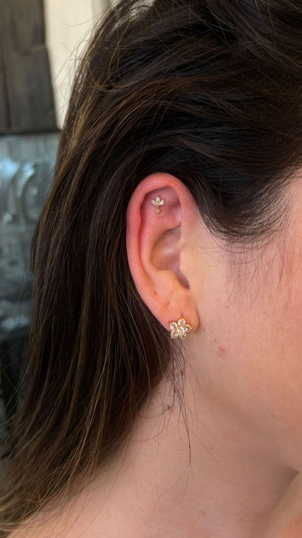 Piercing Sea
